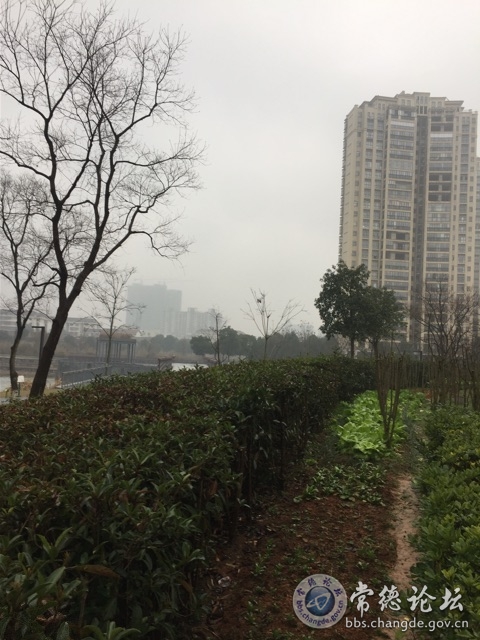 触屏版