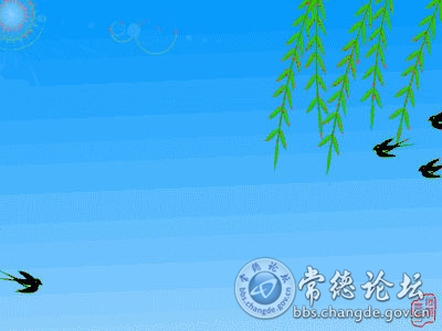 触屏版