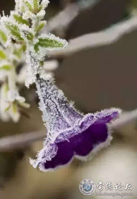 触屏版