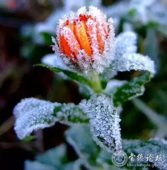 触屏版