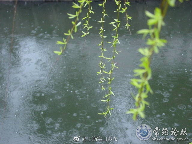 触屏版