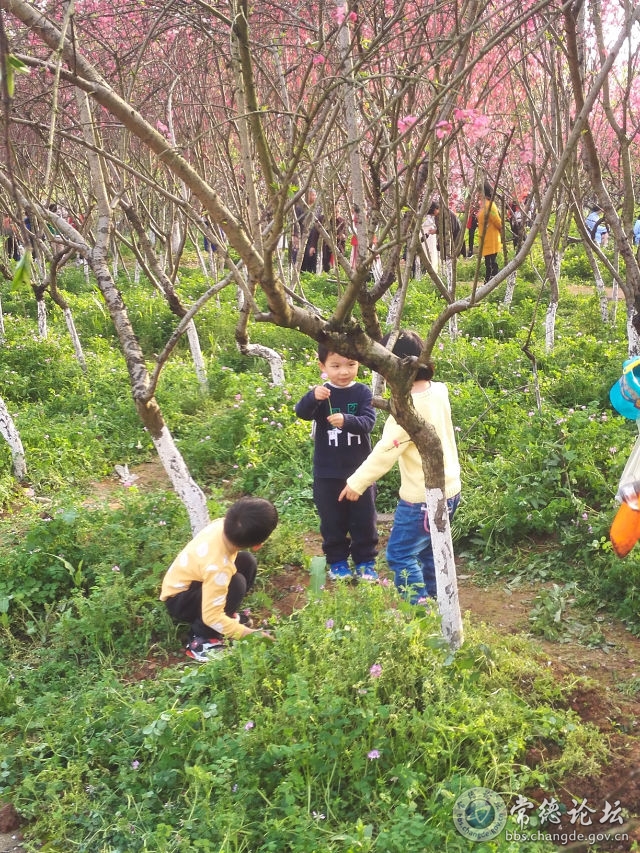 触屏版