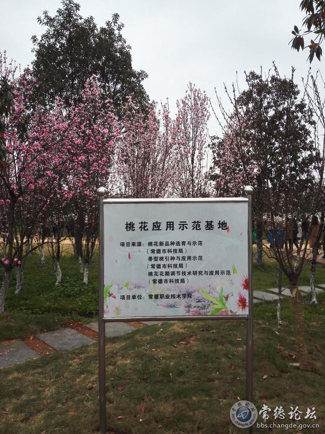 触屏版