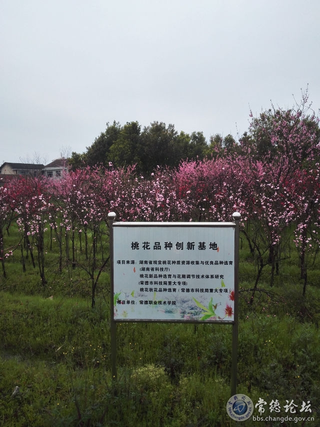 触屏版
