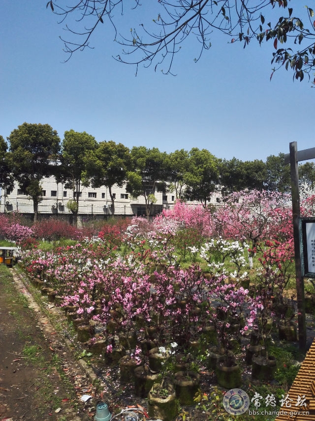 触屏版