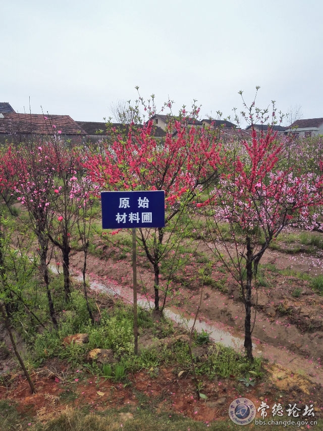 触屏版
