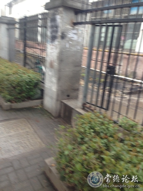 触屏版