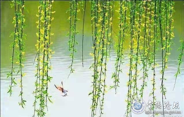 触屏版