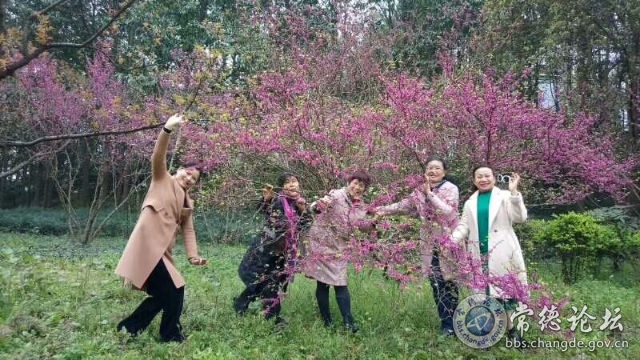 触屏版