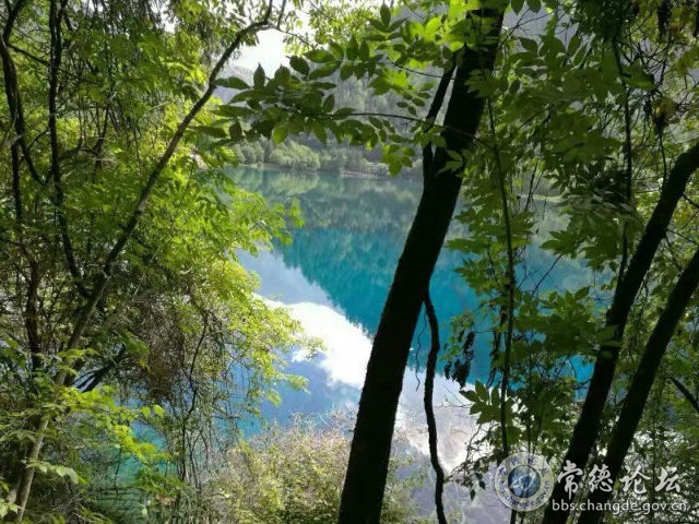 触屏版