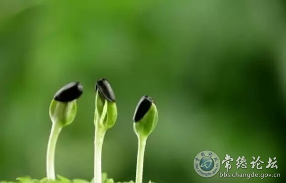 触屏版