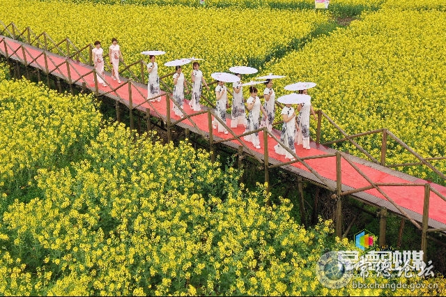 触屏版