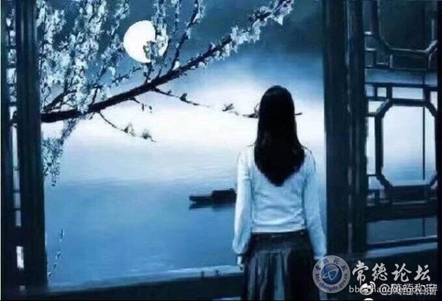 触屏版