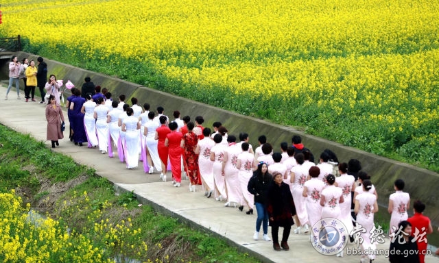 触屏版