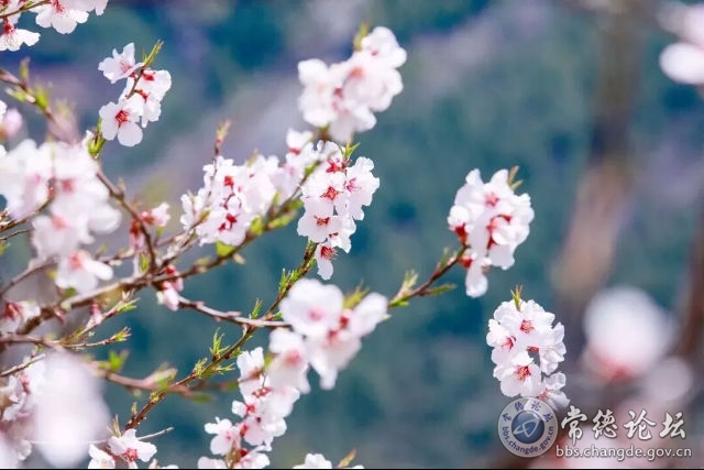 触屏版