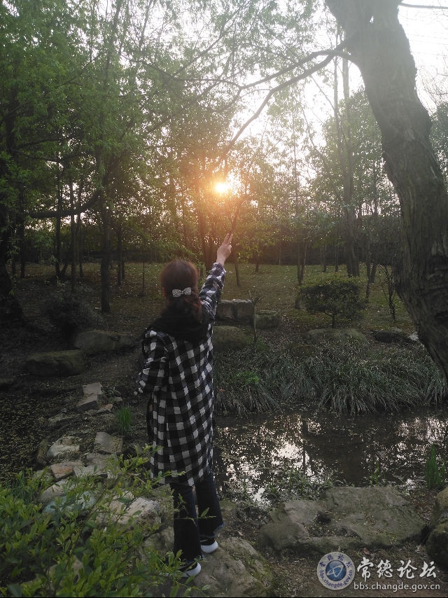触屏版