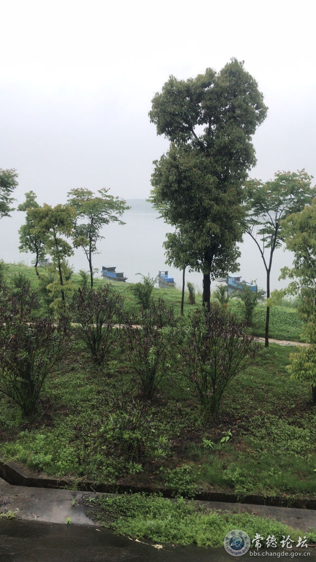 触屏版