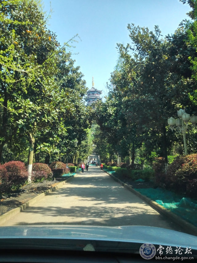 触屏版