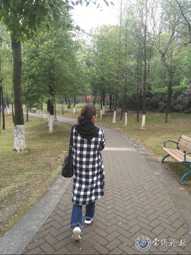 触屏版