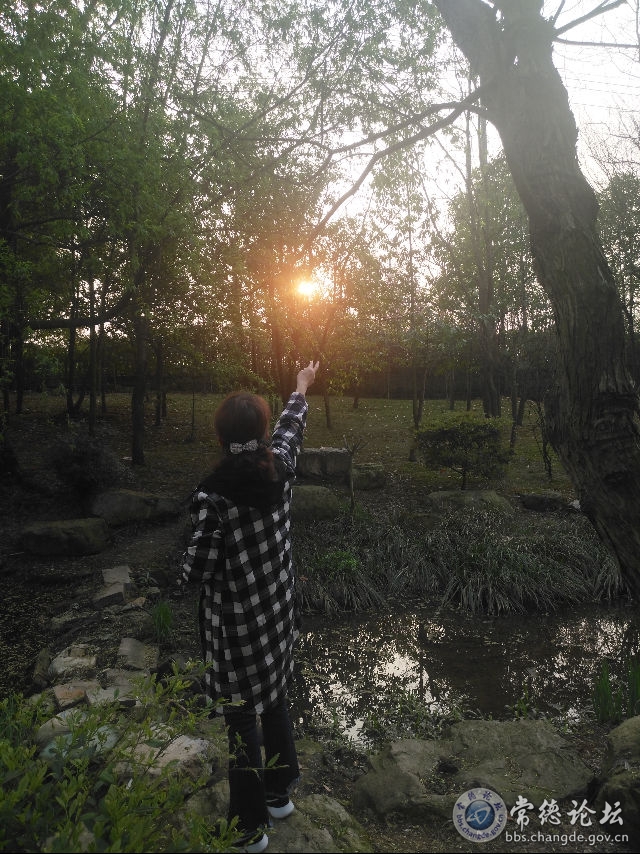 触屏版