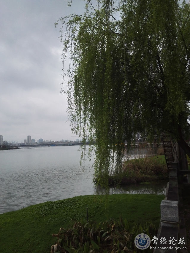 触屏版