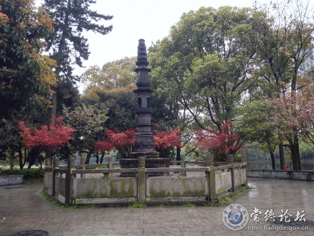 触屏版