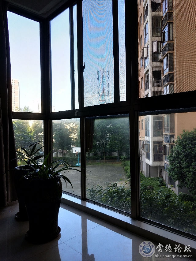 触屏版