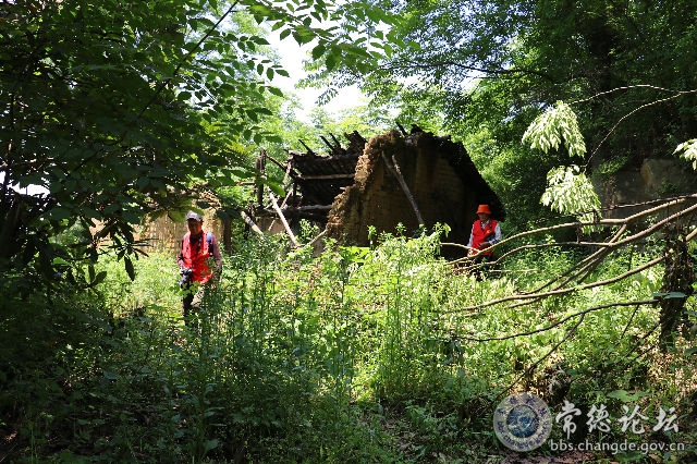 触屏版