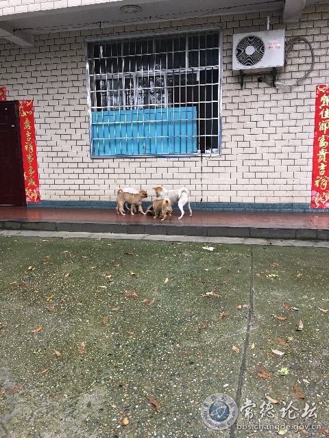 触屏版