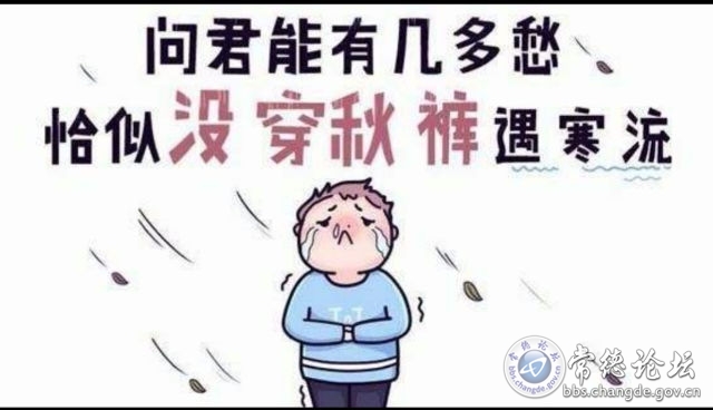 触屏版