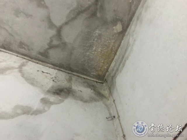 触屏版