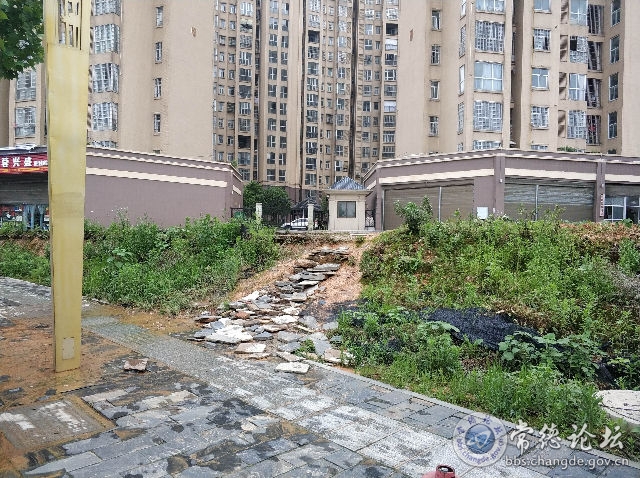 触屏版