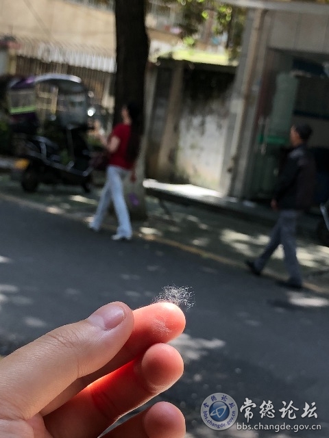 触屏版