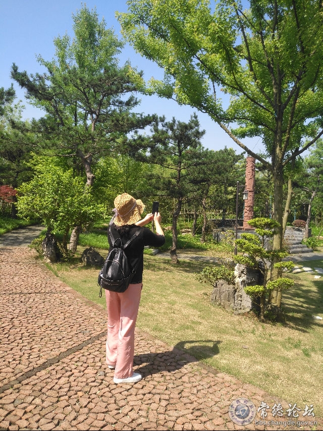 触屏版