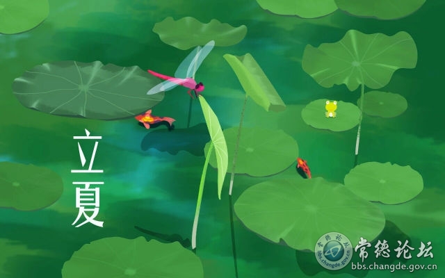 触屏版