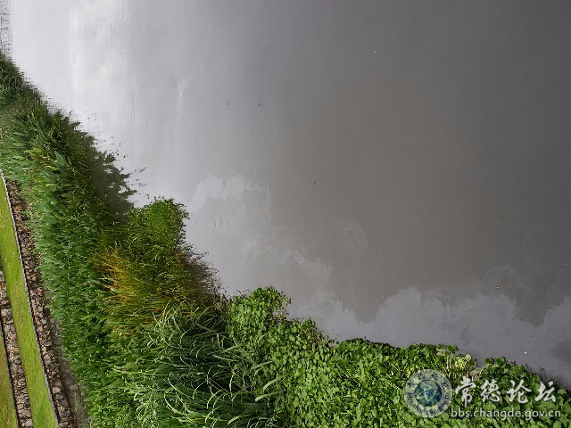 触屏版