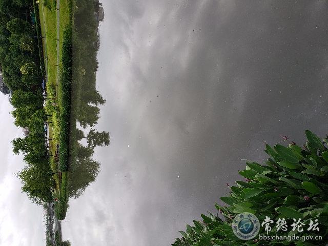 触屏版