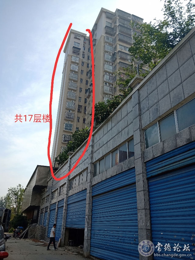 触屏版