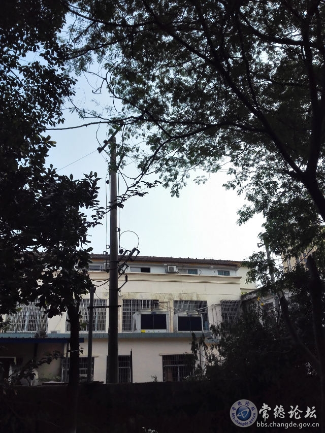 触屏版