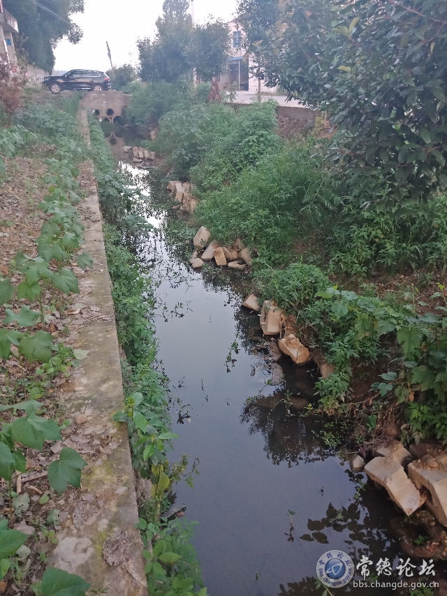 触屏版