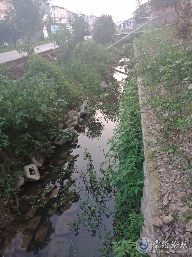 触屏版