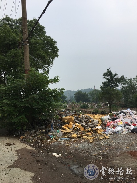 触屏版
