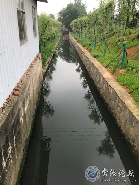 触屏版