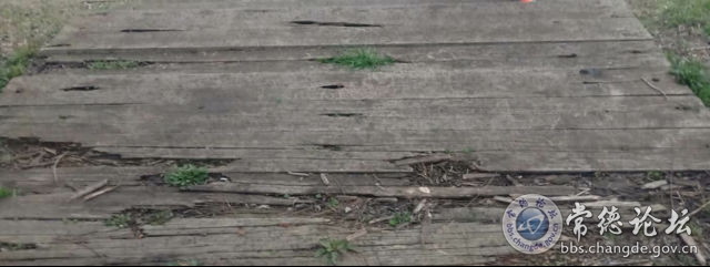 触屏版