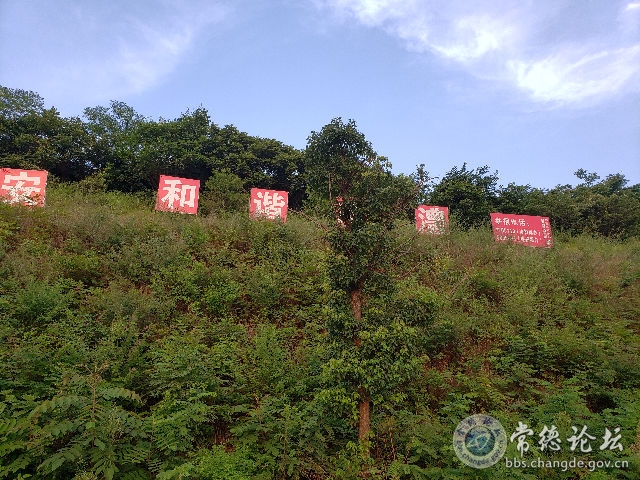 触屏版