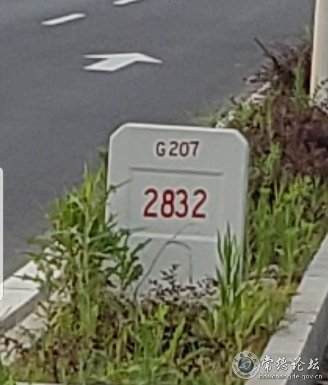 触屏版