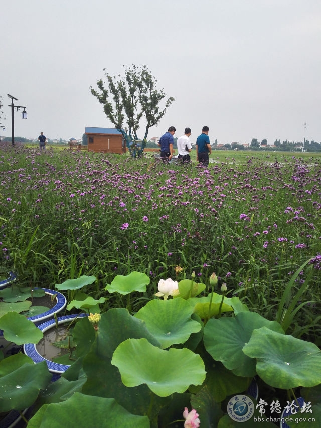 触屏版