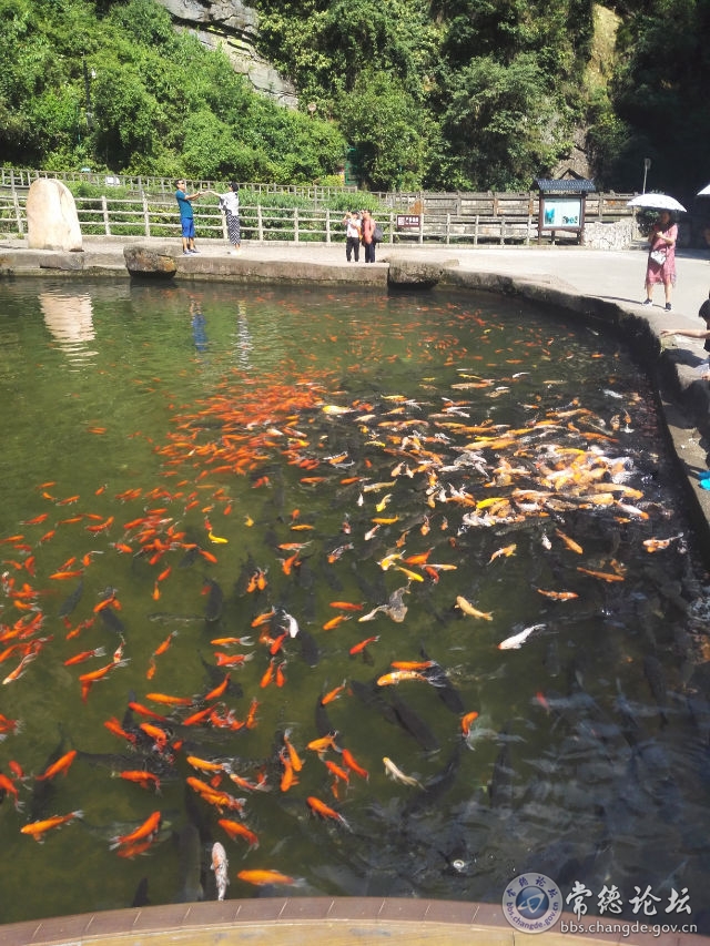 触屏版