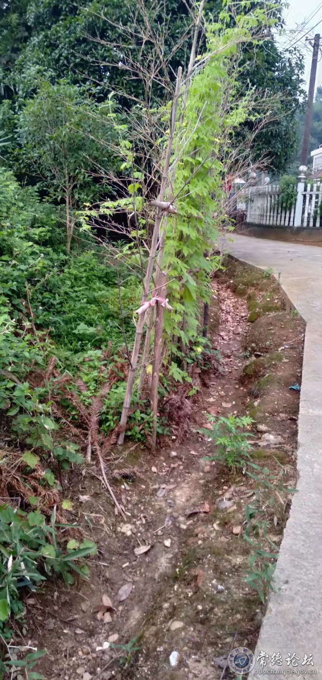 触屏版