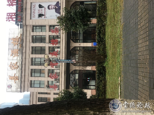 触屏版